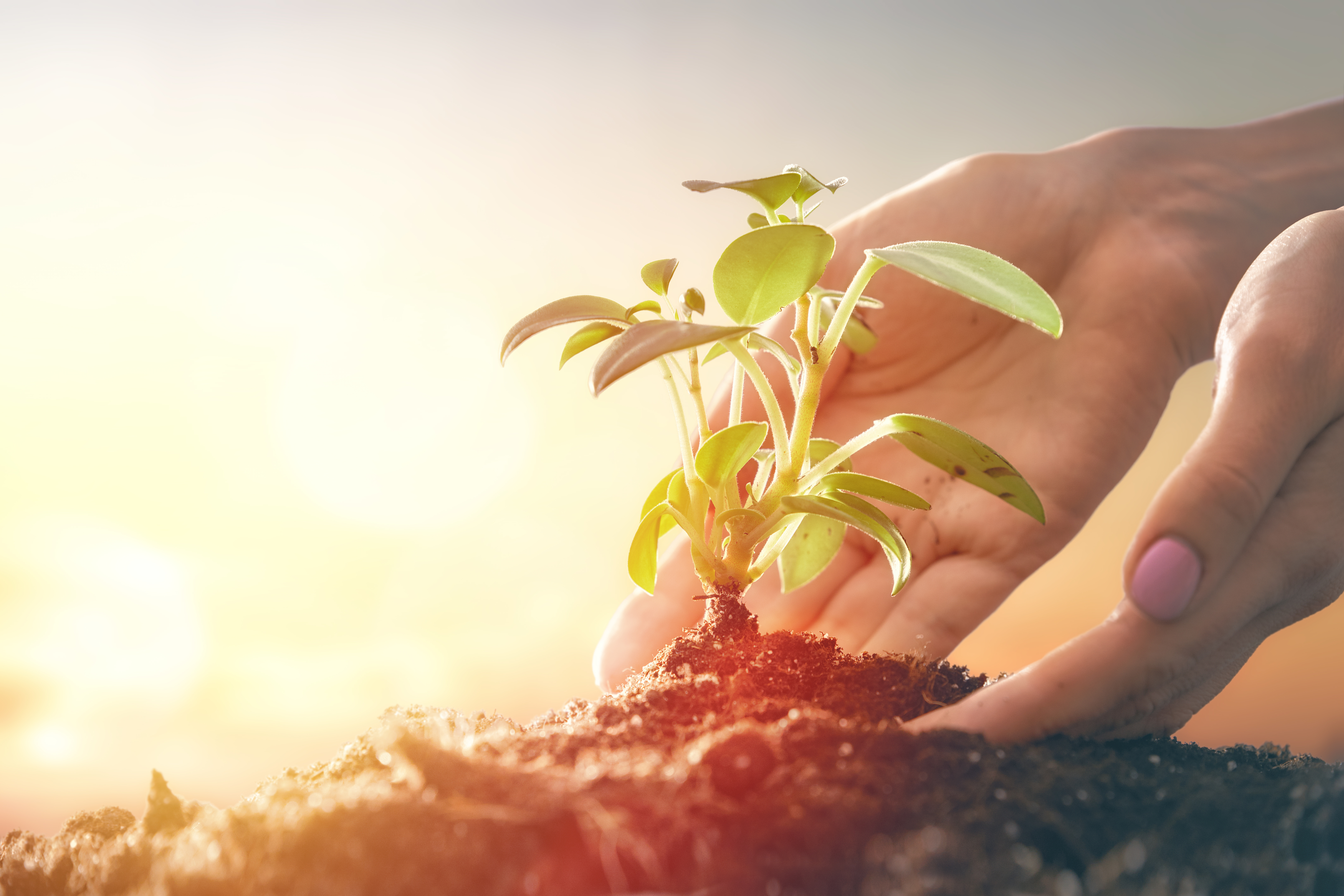 Consultoria Ambiental